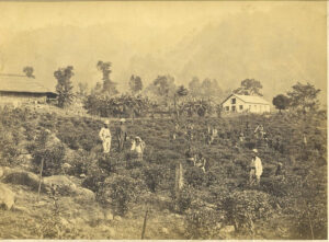 British in Darjeeling